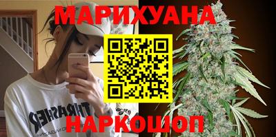 гидра Краснознаменск
