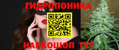 шишки Краснодар