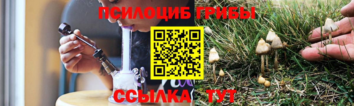 Качканар  как найти закладки  Псилоцибиновые грибы GOLDEN TEACHER  Вход с VPN  Псилоцибиновые грибы Psilocybe 